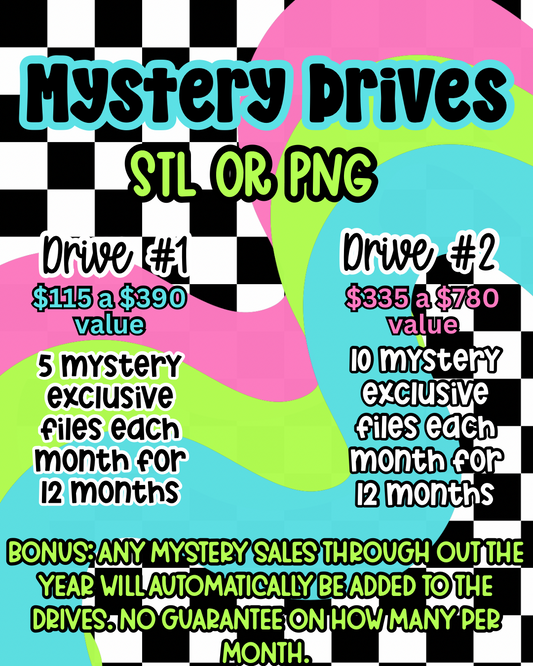Mystery Drives (Please read description before purchase)